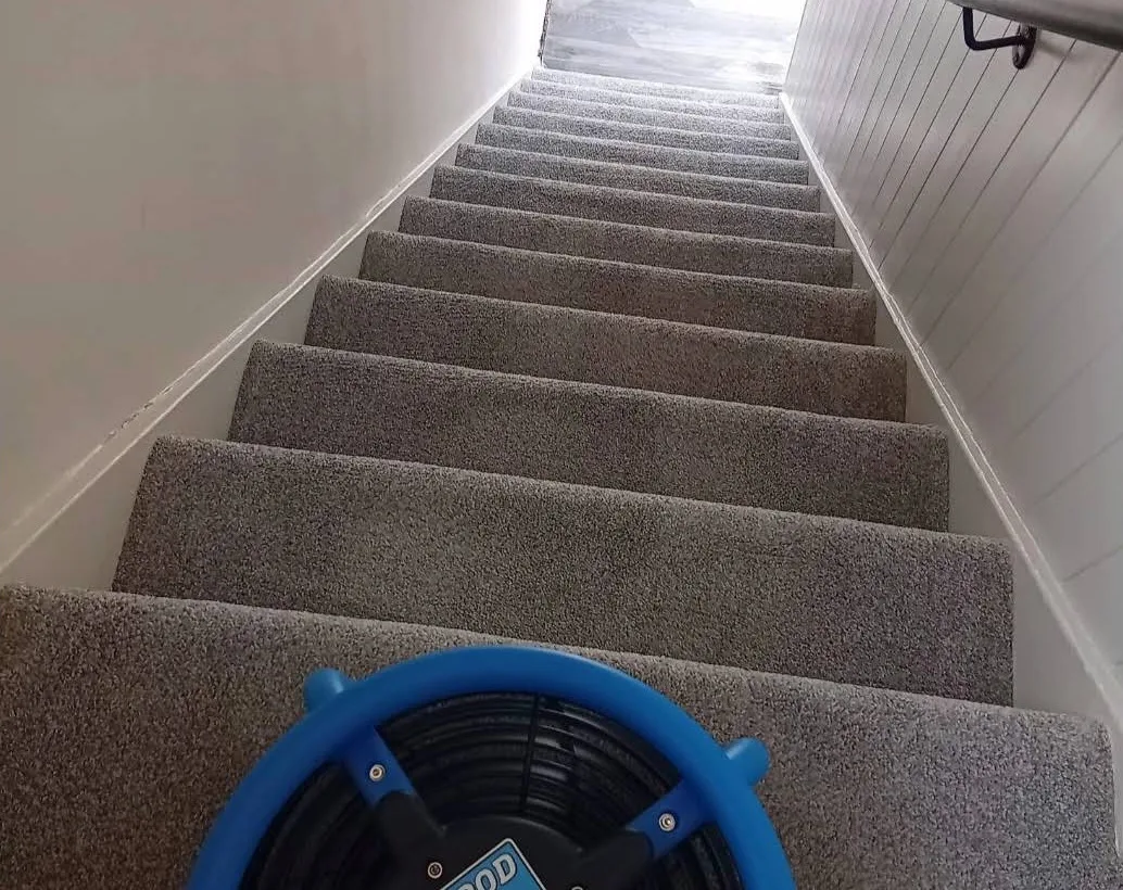 Staircase Cleaning cleaned by Dave Spark