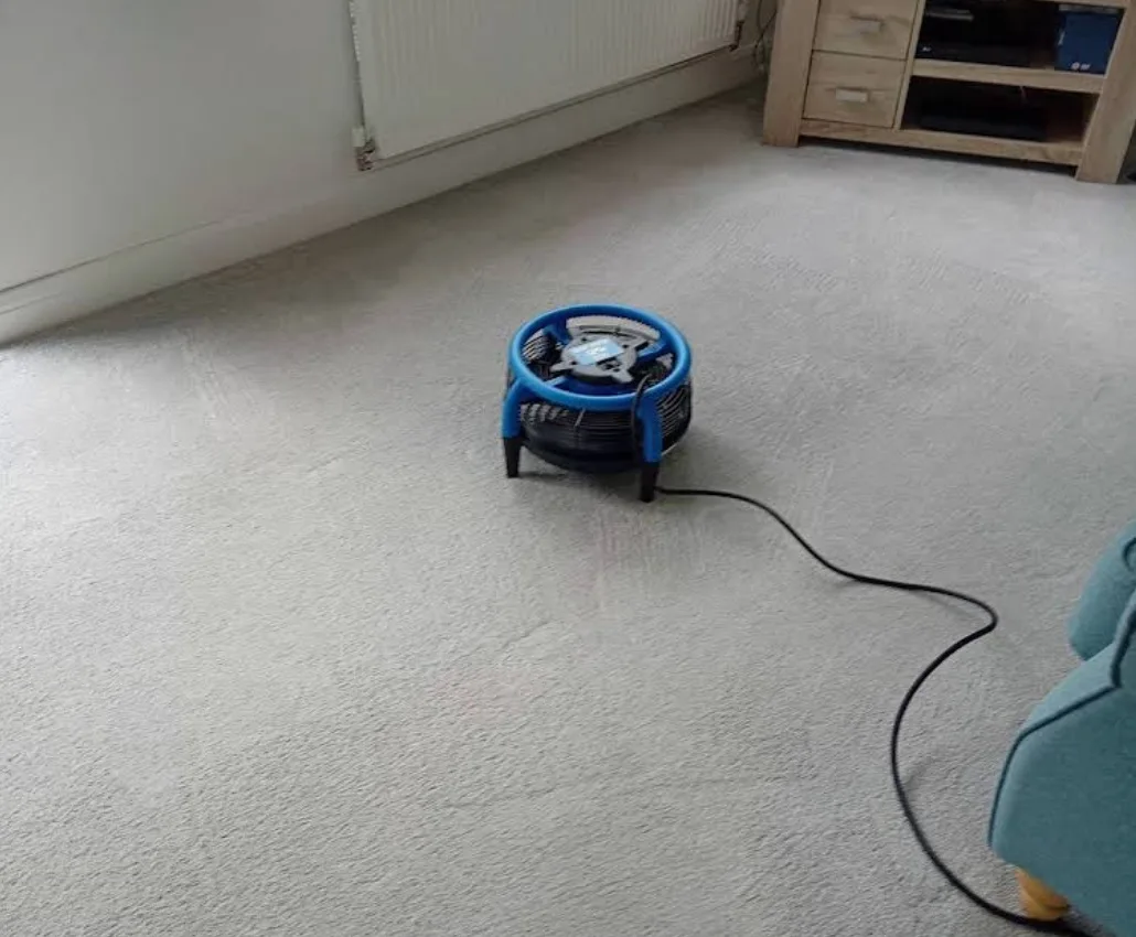 Living room carpet from Dave's carpet cleaning work