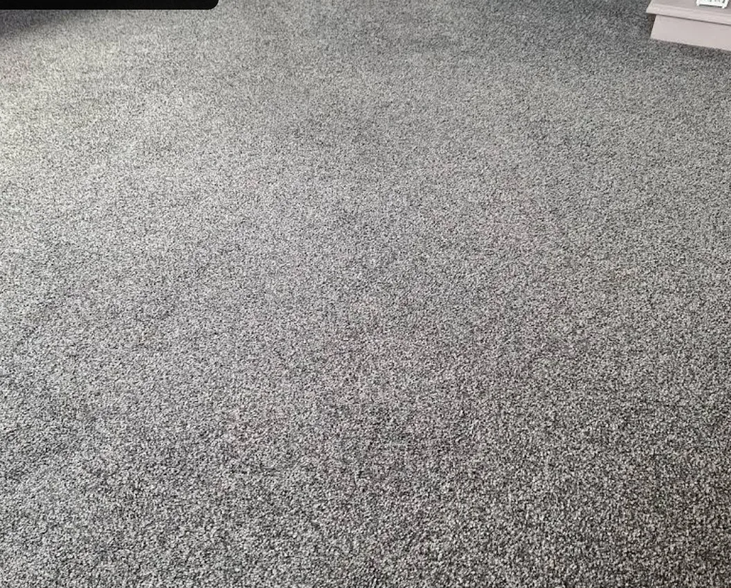 Grey Carpet Cleaning cleaned by Dave Spark
