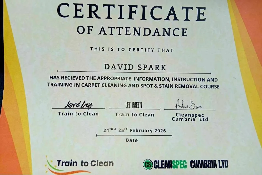 Certificate of attendance: Carpet Cleaning and Spot & Stain Removal, 24–25 February 2026